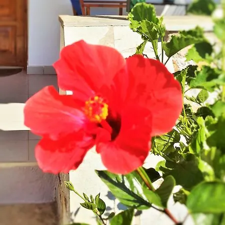 Anna Maria Agios Nikolaos (Mani)