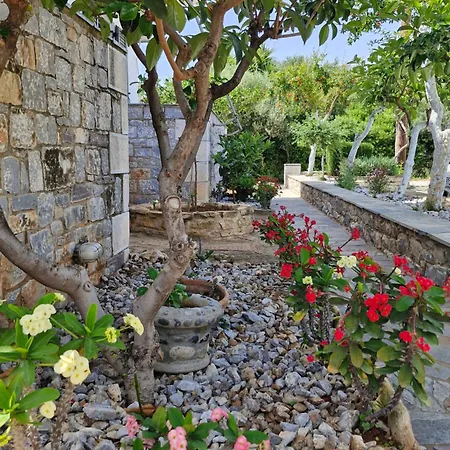 Anna Maria Lejlighed Agios Nikolaos (Mani)