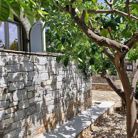 Apartman Anna Maria Studios