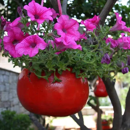 Anna Maria Studios Apartman *