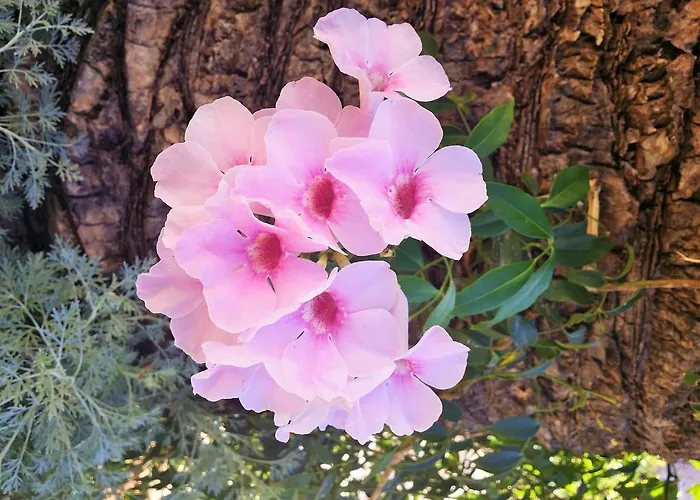 Apartmán Anna Maria *