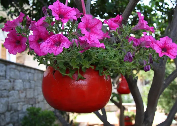 Anna Maria Apartmán *